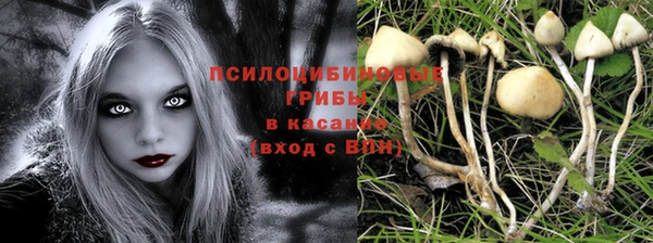мет Богданович