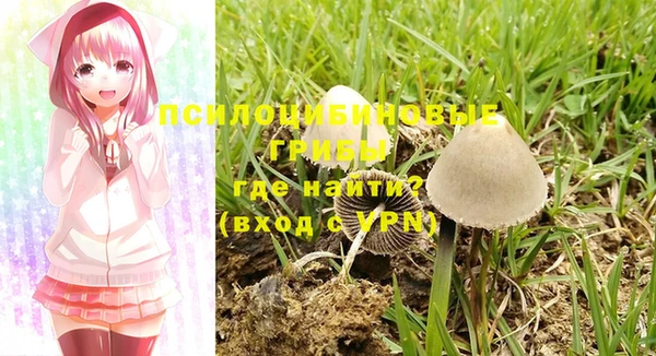 марихуана Богородицк
