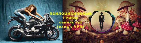 кокс Богородск