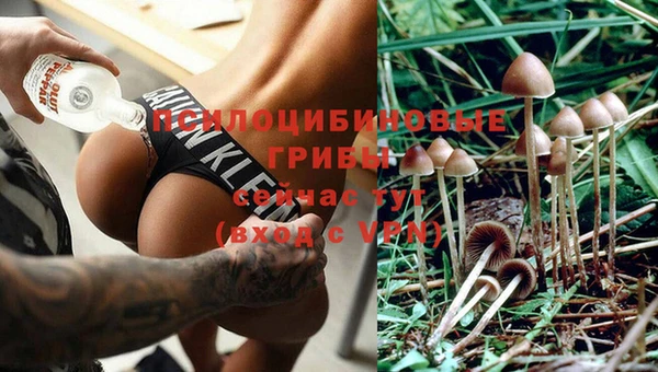 мет Богданович